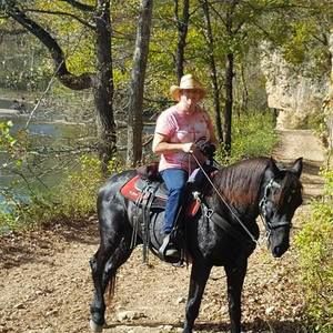 Meet your Posher, Susan